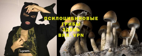 прущая мука Армянск