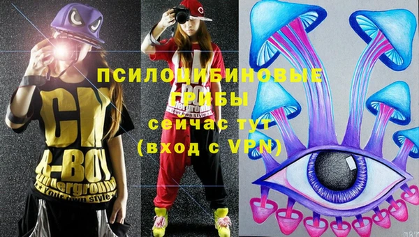 прущая мука Армянск