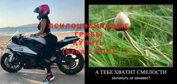 каннабис Арсеньев